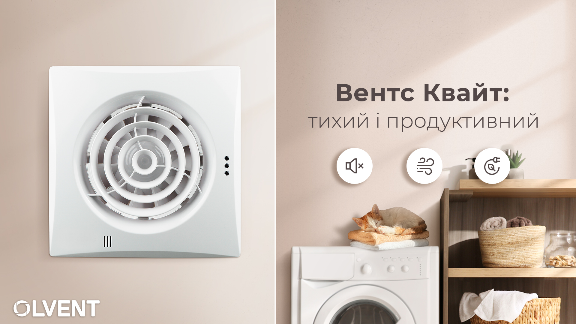 Венгс Квайт 100